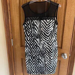 NWT Zebra size14 Knee length Dresd
